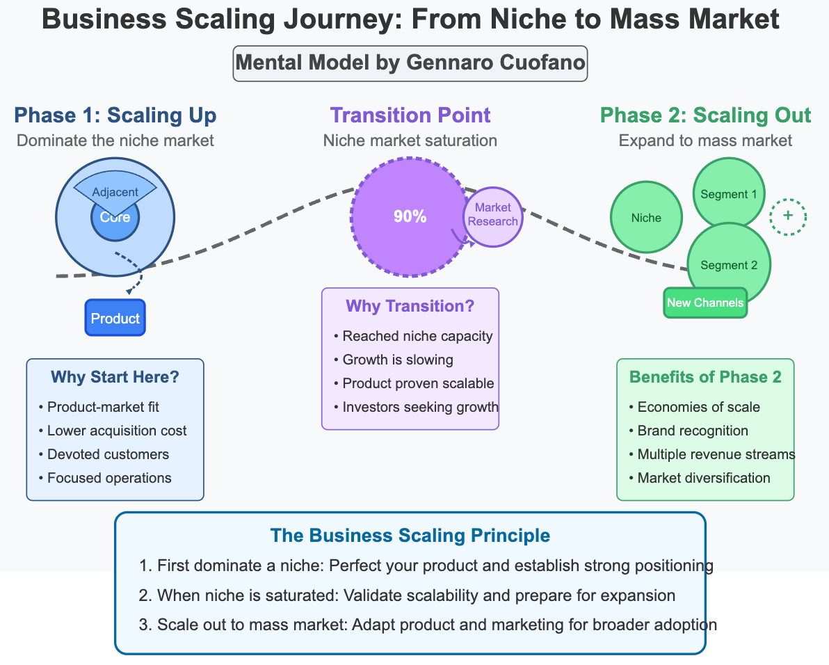 Business Scaling Journey framework showing progression from niche market to mass market with scaling up and scaling out phases